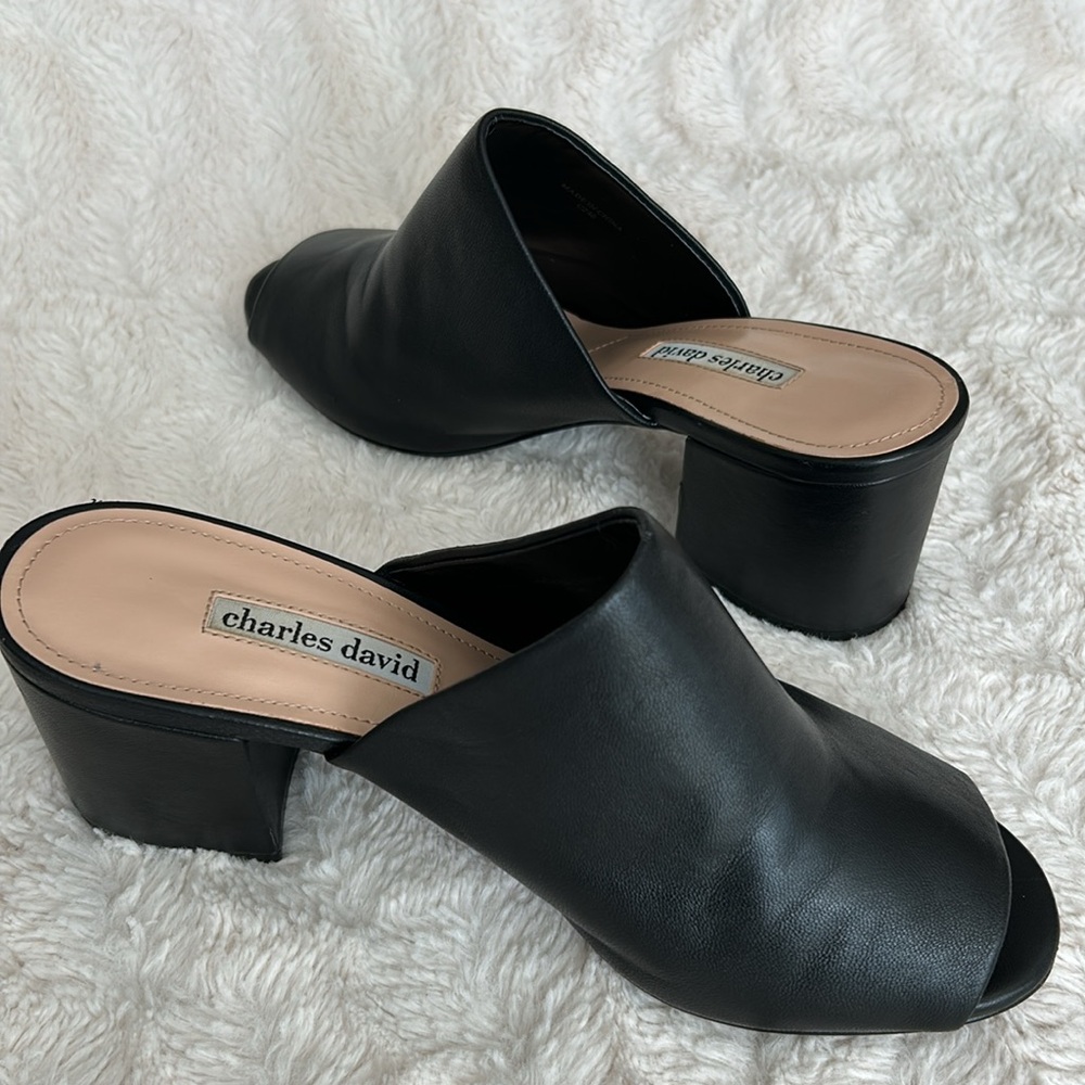 Charles David Leather Sandal - Picture 4 of 7
